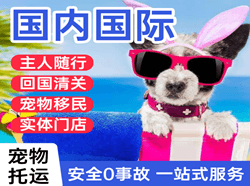 西安空运代理国际宠物托运 【国